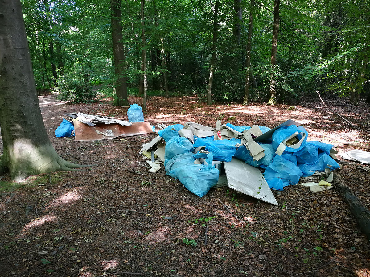Wilde Müllkippe im Stadtwald