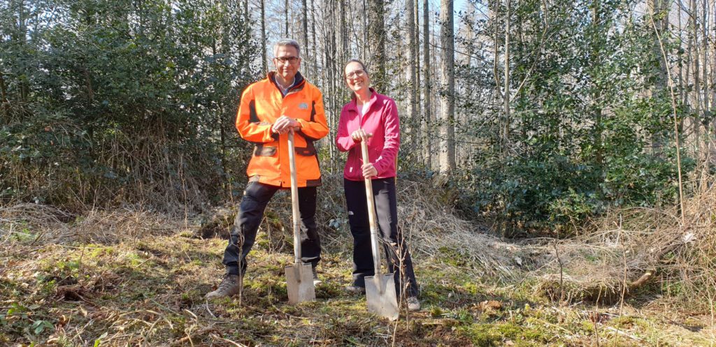 Bei der Baumpflanzaktion griffen Marketingrats-Vorstandsmitglied Christina Große-Hering und Forstamtsleiter Markus Wolff zum Spaten.