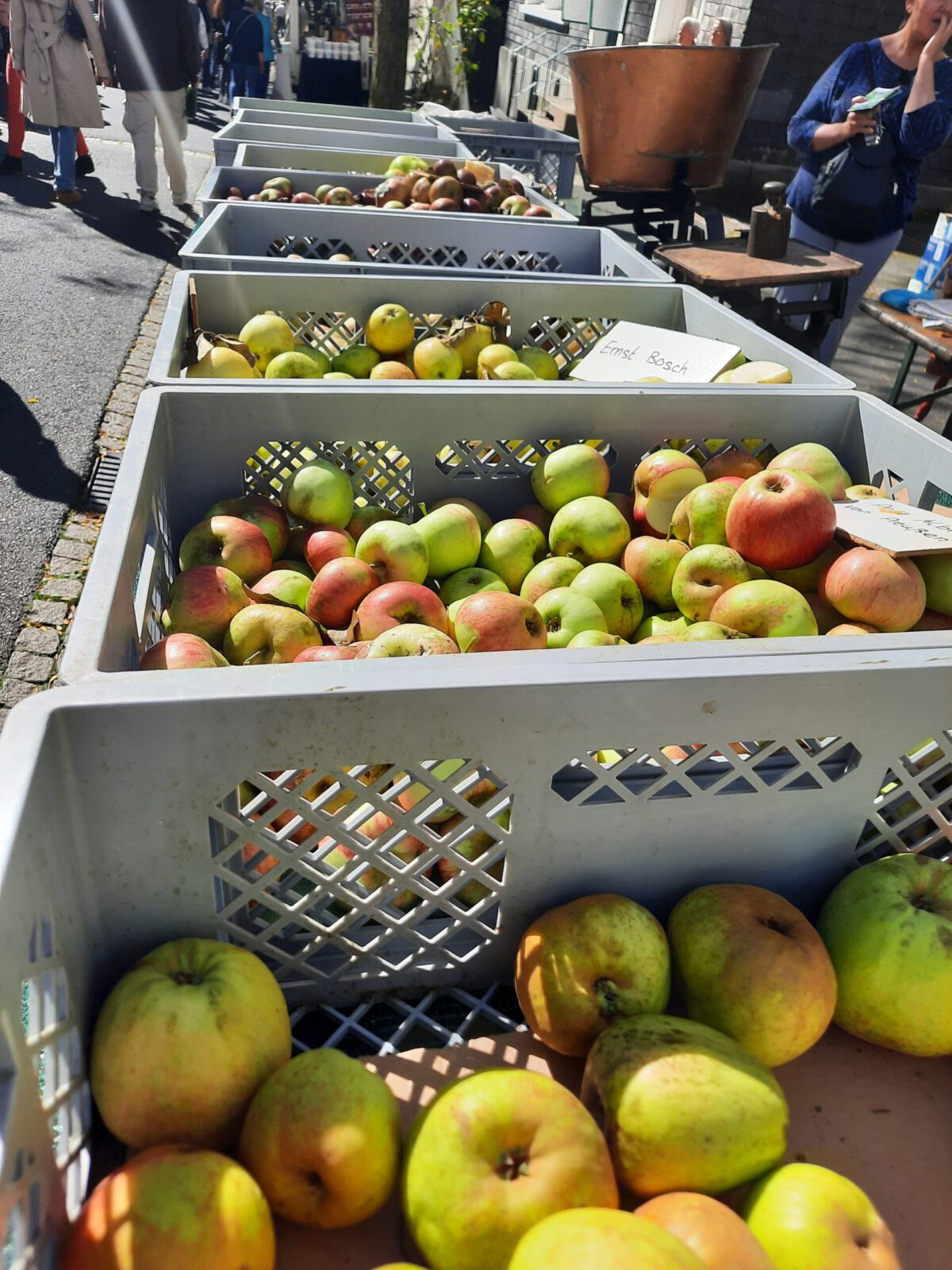 Viele Wege führen zum Bauernmarkt